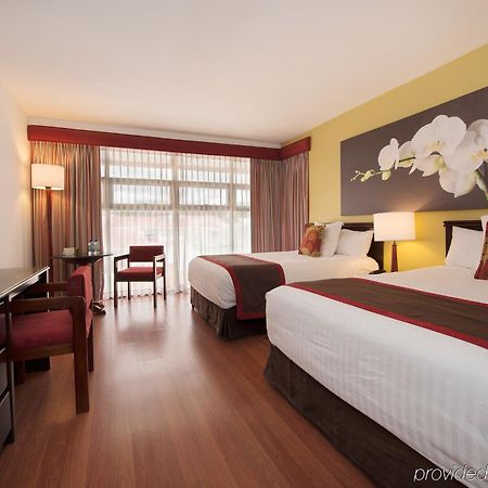 Hotel Palma Real San Jose  Ngoại thất bức ảnh