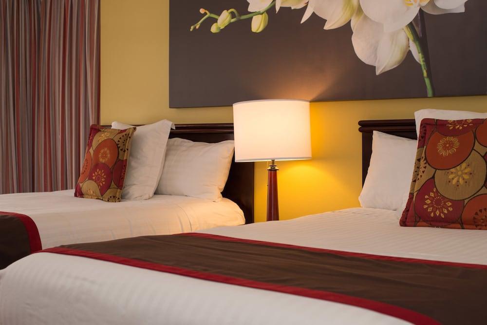 Hotel Palma Real San Jose  Ngoại thất bức ảnh